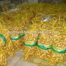  Sell ing  ginger ,Chinese Grade A ,Good quality