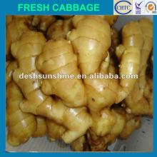 Grade A chinese yellow fat ginger(100-350g)