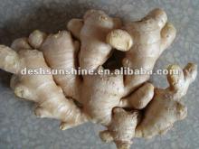 Hot sale Grade A  chinese   dry   ginger (200-300g)