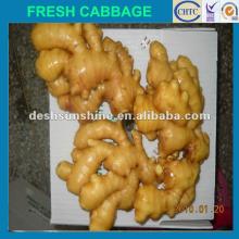 New crop Grade A china yellow ginger(75--350g)