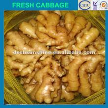 New crop Grade A china  bulk   fresh   ginger (75--350g)