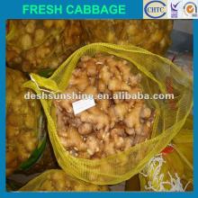 New crop Grade A china  ginger   product s(fresh n dry)