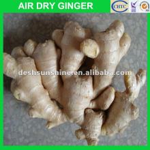 New crop Grade A chinese air-dried ginger(200-300G)