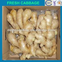 New crop Grade A china ginger price(good quality,cheap price)