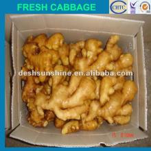 New crop Grade A Chinese ginger exporters,golden supplier