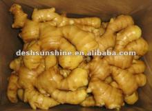 New Crop Grade A ginger in china(good quality,cheap price)