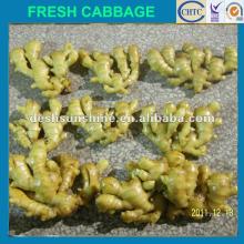 The Best Chinese ginger prices,Good Quality,Cheap price