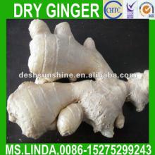 Grade A Chinese half dry ginger(100-350g,fresh,air dry)