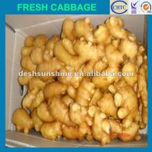 Grade A china 150g fresh ginger(good quality,cheap price)