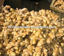 Buy 2012 new crop ginger
