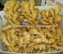 Export 2012 new crop ginger price
