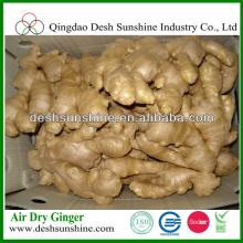 best quality ginger with cheapest price