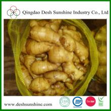 air-dried /fresh new crop market prices for ginger
