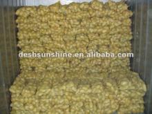 chinese organic farm fresh potato