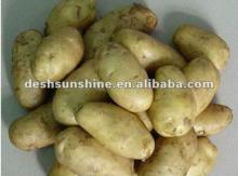 2012 fresh potato good quality and cheap price