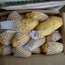 New Crop Grade A Chinese the best fresh yellow potato
