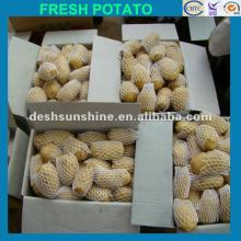 2012 New Crop Grade A holland potato producer