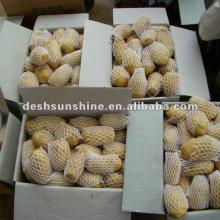 2012 New Crop Grade A Chinese yellow holland potato