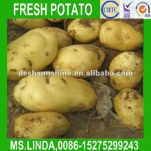 2012 New Crop Grade A Fresh Chinese Potato(good quality,cheap price)