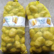 2012 New crop yellow fresh holland potato(good quality,cheap one)