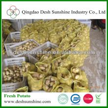 2013 New Crop Fresh Potatoes for Sale