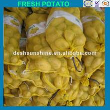 New Crop Grade A fresh potato price 2012