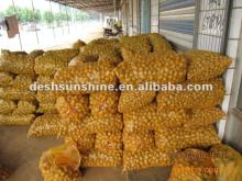 direct factory sell 2013 fresh sweet potato