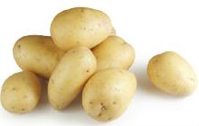 2013 New Crop Fresh Potato Direct Factory
