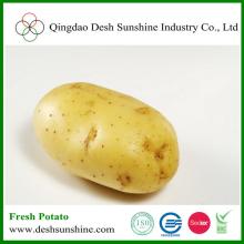 Chinese sweet fresh potato