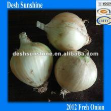 2012 Yellow Fresh Onions Exproter
