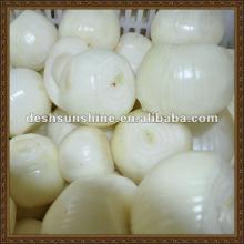 chinese frozen  whole   onion 