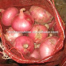 Fresh Red Onions Exporter