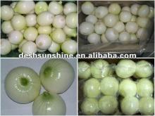 7-10cm 2012 new Peeled Fresh Onions