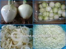 6-8cm 2012 new copr Onion Fresh