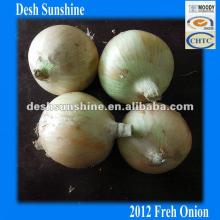 6-8cm 2012 New Corp Fresh Onions