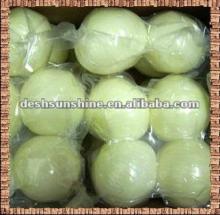 Grade A Peeled Onion Vacuum Packed