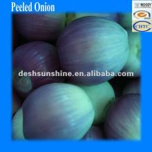 70-90mm New Corp Peeled Fresh Red Onion