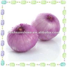 peeled red onion exporter from China