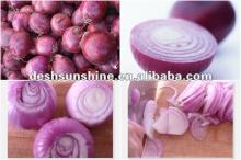 Hot sale new crop onions red export