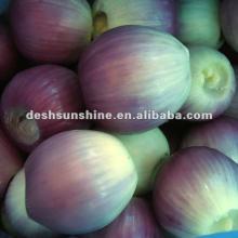 red onion peelers exporter from China