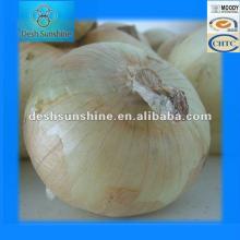 2012 New Corp Fresh Yellow Onions Exporter