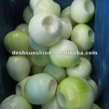 Excellent Chinese Peeled Yellow Onion