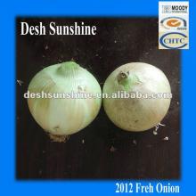 4-7,6-8cm 2012 New Corp Chinese Fresh Onions