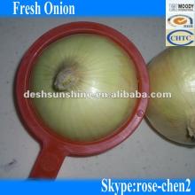 Hot Sale 2012 Grade A Fresh Onion 50-80mm