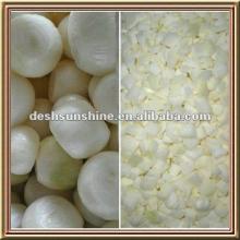 supplying chinese high quality frozen onions