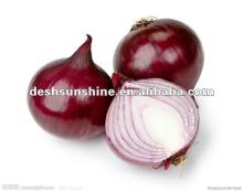 Hot sale new crop fresh red onions export