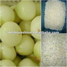 (70-90mm) Yellow Onion Exporter 2012 Fresh Harvest