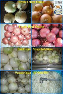 Hot Sale 2012 Grade A Fresh Yellow Onion 60-80mm