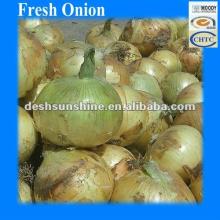 Hot Sale 2012 Grade A Fresh Brown Onion 50-80mm