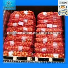 (50-80mm) Hot sale Fresh Yellow Onions plants 2012